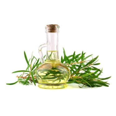 Essential Oils