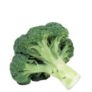 Broccoli
