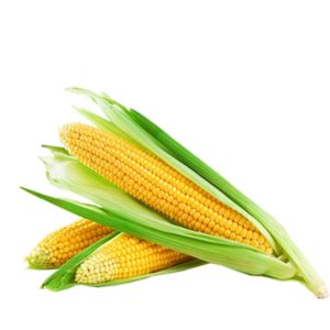 Corn