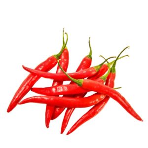Hot Chilli Pepper